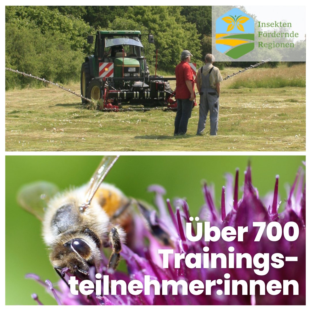 Auch in diesem Jahr fanden im Rahmen des EU-LIFE Projektes "Insektenfördernde Regionen" Trainings für Landwirt:innen und Interessierte zur Insektenförderung statt. Nun ziehen wir eine vorläufige Projektbilanz: Bei über 40 Veranstaltungen hatten wir mehr als 700 Teilnehmer:innen.