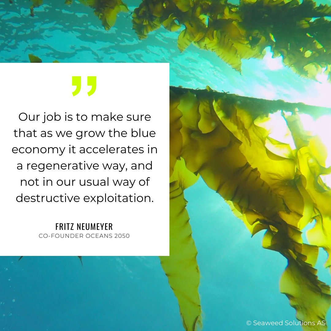 Seaweed farming has many benefits: Seaweed farming has many benefits: From creating new sources of income to protecting biodiversity and sequestering carbon. 
 
#carboncapture #blueeconomy #biodiversity