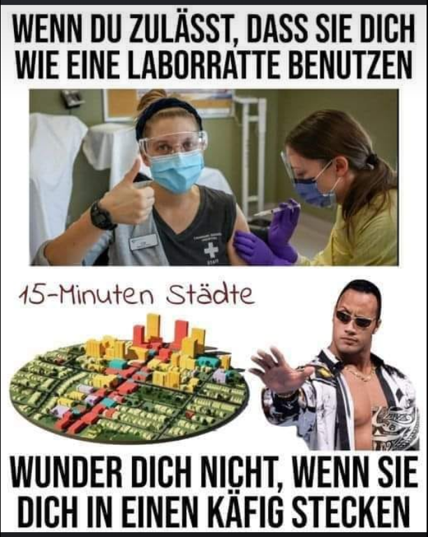 prof_scheld tweet picture