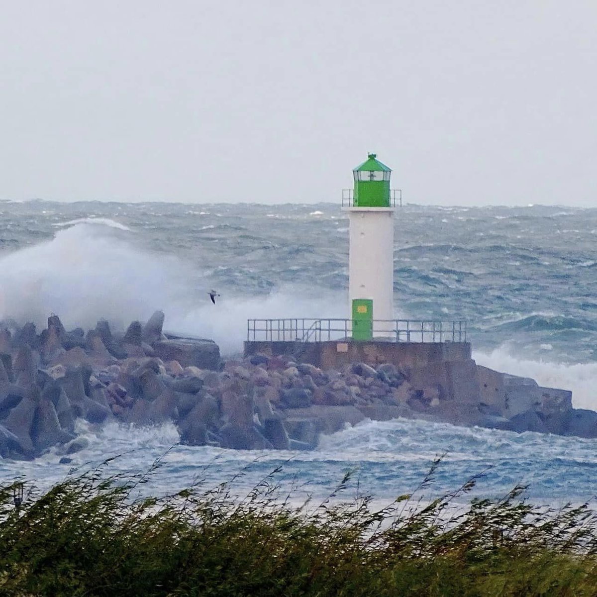 🔶Šodien un 7. oktobrī vēja brāzmas turpinās pieņemties spēkā, jūras piekrastē sasniedzot pat 25 m/s. 
❗️ Aicinām iedzīvotājus būt īpaši uzmanīgiem vētras laikā, kā arī nenovietot automašīnas zem kokiem vai to tuvumā. Dežūrdienestu tālruņi 👉 bit.ly/Tehn-d
