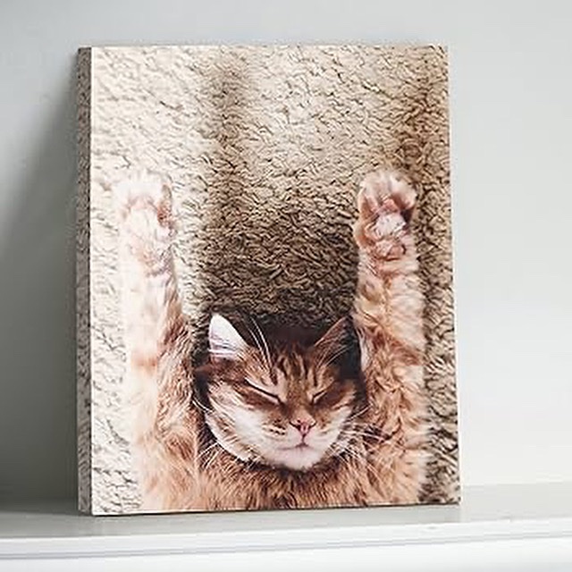 ‼️OFERTA FOTO LIENZO 50x70 POR SOLO 29’95€‼️

n9.cl/tz71d

Tu fotografía favorita será impresa sobre un lienzo profesional con base de algodón.

Perfecto para presumir de recuerdos sin 
marco.

#FotoLienzo #Canvas #FotoDeco #Oferta #Descuentos #Octubre