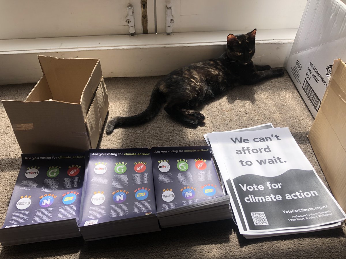 Vote for Climate NZ tweet media