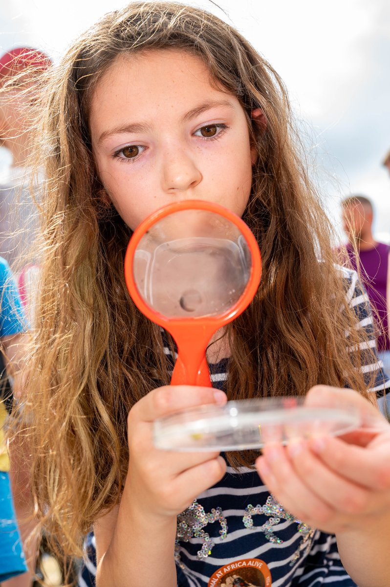 Are you passionate about science, events and community projects? Our Project Coordinator vacancy might be perfect for you! Work with <a href="/NorwichSciFest/">Norwich Science Festival</a> team to curate &amp; deliver fun, accessible community events that spark curiosity! Closing date: Wed 25 Oct 🔍
theforumnorwich.co.uk/about-us/vacan…