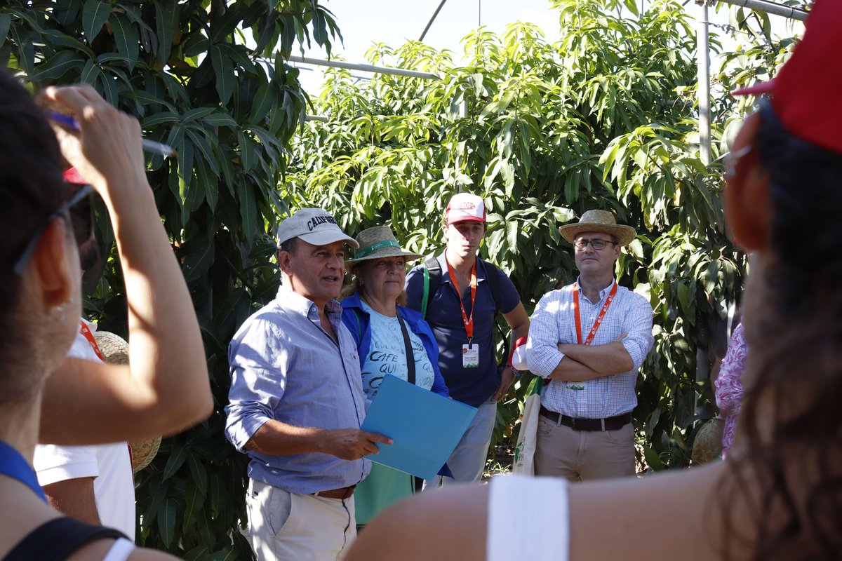 XIII International Mango Symposium tweet media