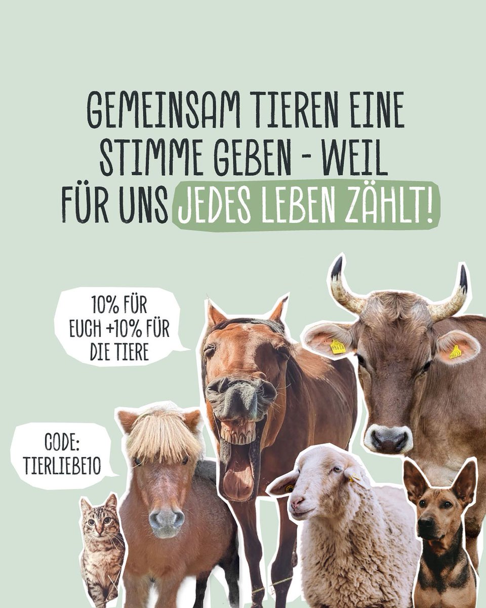 VEGDOG1's tweet photo. Macht mit und unterstützt mit eurem Einkauf unsere Spendenaktion zum Welttierschutztag! 🥰

Mit jedem Einkauf bei VEGDOG helft ihr uns dabei, das Wohlergehen von Tieren zu fördern, die Welt zu einem besseren Ort zu machen und uns für das Recht der Tiere stark zu machen! 💪 https://t.co/Pi3xDpEw6u
