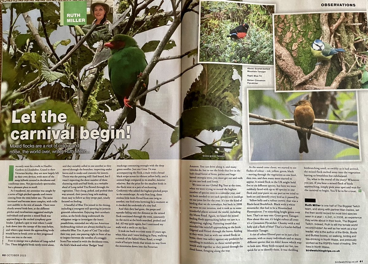 Have a lovely Thursday, hope you can get out and watch birds today, they’re so good for us. Or just as good, curl up with the latest edition of @BirdWatchingMag for a great read. There’s a rather nice article about mixed flocks on P60!😉 @AlanDaviesbirds @polyolbion