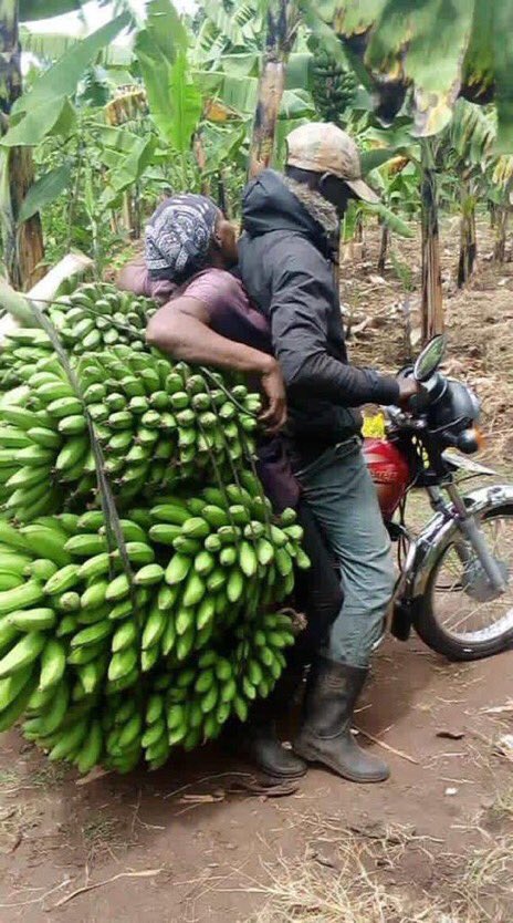 officielsalome's tweet photo. Wazee imebaki Siku Moja kuwekeza kwenye #KijaniBond nyie shirika ama taasisi kubwa wekezeni 1,000,000,000 leo kwa Riba ya 10.25% jumla kwa mwaka 102,500,000 kwa miaka mitano 
512,500,000  msiache fursa hii iwapite wekezeni kupitia @CRDBBankPlc Sasa. https://t.co/QBEDTgEUus
