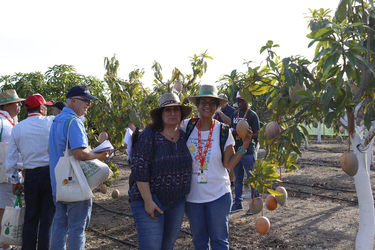 XIII International Mango Symposium tweet media