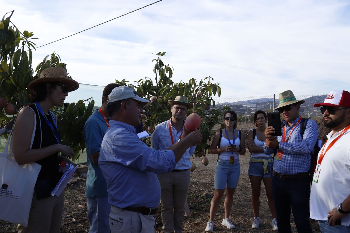 XIII International Mango Symposium tweet media