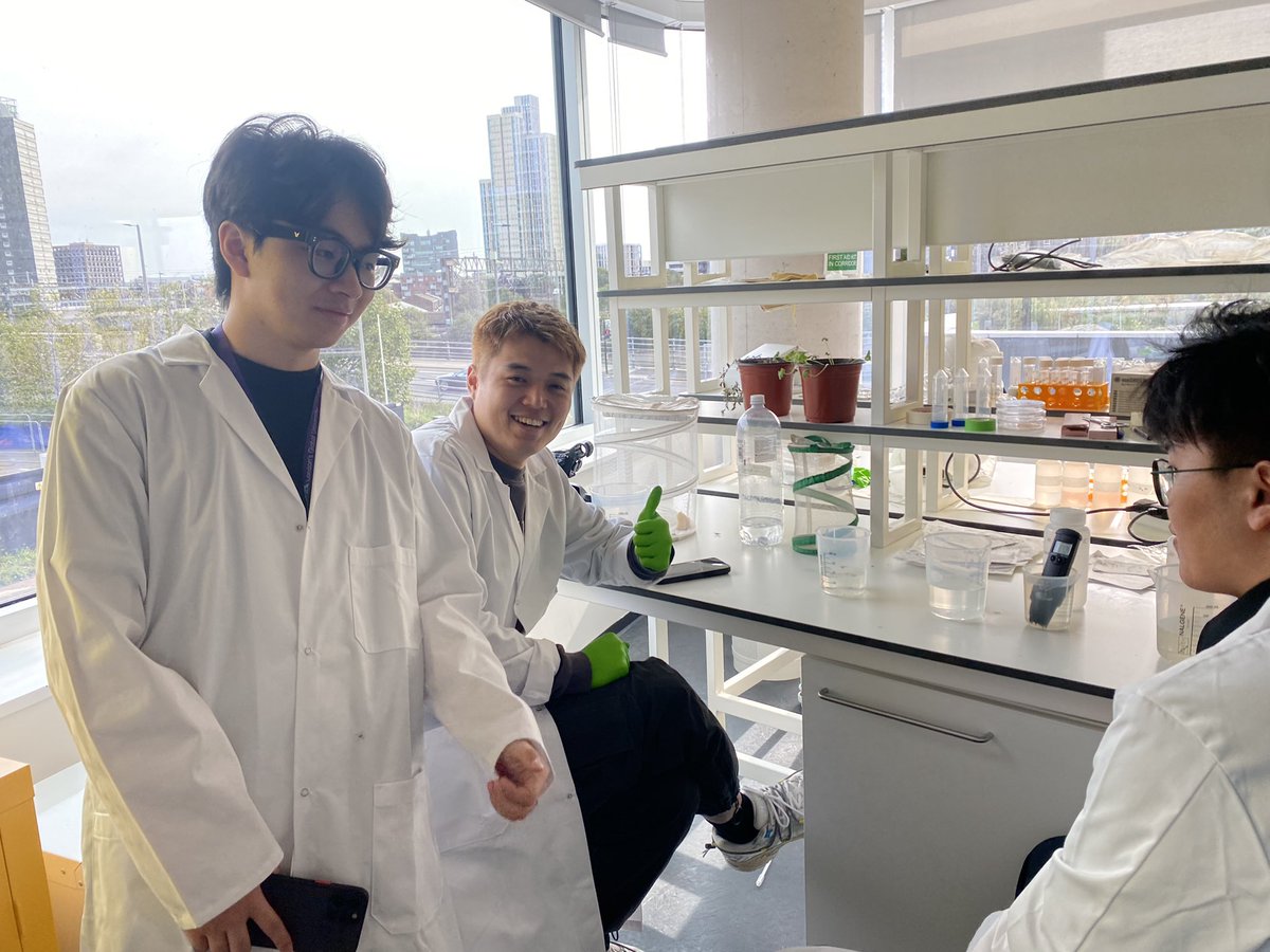 FreshwaterIzzy's tweet photo. @UCLCBER field course in @noordinarypark days 2 and 3 included mini research projects on topics including the insect diversity of park grasslands and the effects of soil contamination on wet woodlands. @ProfKateJones professed her love of bats. #OverlyHonestMethods coming soon! https://t.co/1ribmgFHqd