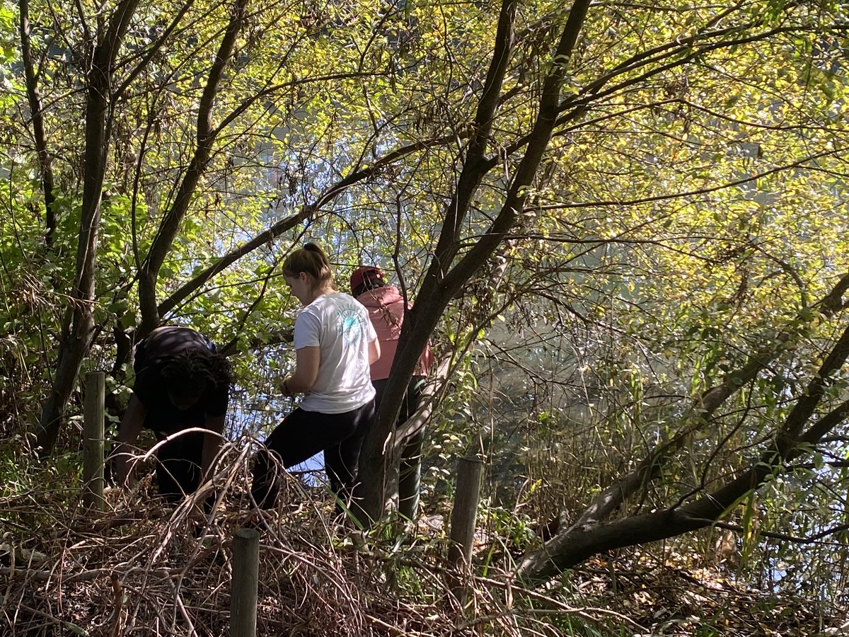 FreshwaterIzzy's tweet photo. @UCLCBER field course in @noordinarypark days 2 and 3 included mini research projects on topics including the insect diversity of park grasslands and the effects of soil contamination on wet woodlands. @ProfKateJones professed her love of bats. #OverlyHonestMethods coming soon! https://t.co/1ribmgFHqd