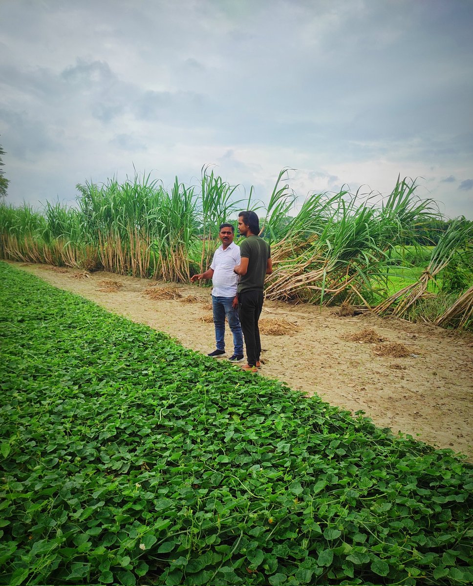 the_vishwas_'s tweet photo. "From Farm to Heart @rabltaojagri.in Building Bonds with Farmers 🌽❤️"

#RabltaojAgri #kisancanteen #rabltaoj #farmers #india #FarmingFutures #agriculture #agrisolution #AgriTechExploration #kisanunion https://t.co/J53wydUsax