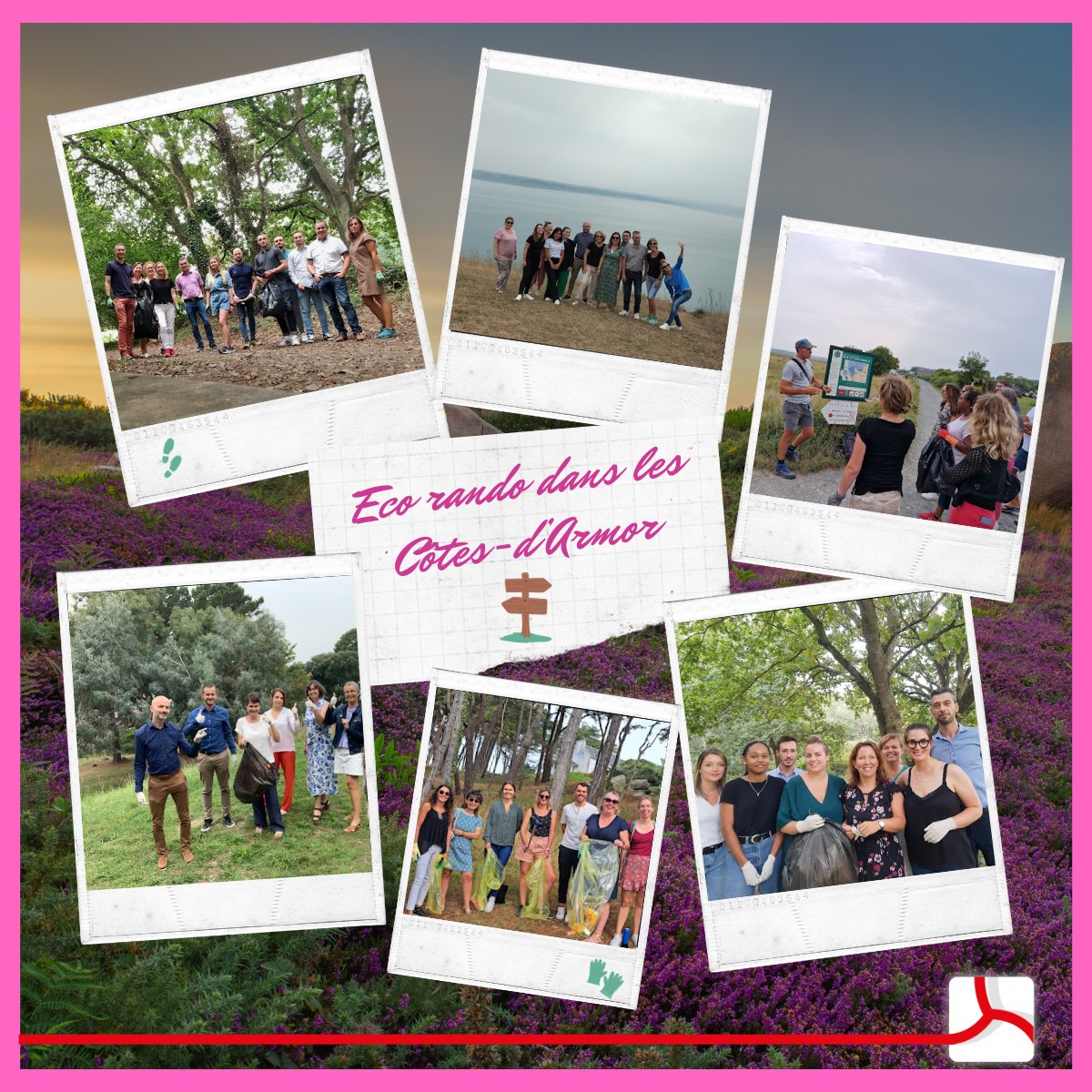 CMBretagne's tweet image. 𝐁𝐞𝐥𝐥𝐞 𝐢𝐧𝐢𝐭𝐢𝐚𝐭𝐢𝐯𝐞 𝐝𝐚𝐧𝐬 𝐥𝐞𝐬 𝐂𝐨̂𝐭𝐞𝐬-𝐝&apos;𝐀𝐫𝐦𝐨𝐫 ♻️🌍
Les équipes de la direction départementale des Côtes-d&apos;Armor du @CMBretagne se sont réunies lors d&apos;une Eco-rando
𝐁𝐢𝐥𝐚𝐧: 
➡️500 kilos de déchets ramassés

#environnement #ungestepourdemain