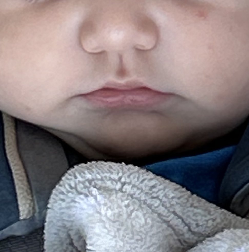 MsDGay's tweet photo. Somehow I just struggle to say no when they call sometimes. Say hello to the newest sweet chunky house guest. He is as squishy as he is happy and sweet. 🥹🥰 https://t.co/2ohHoyHmxH