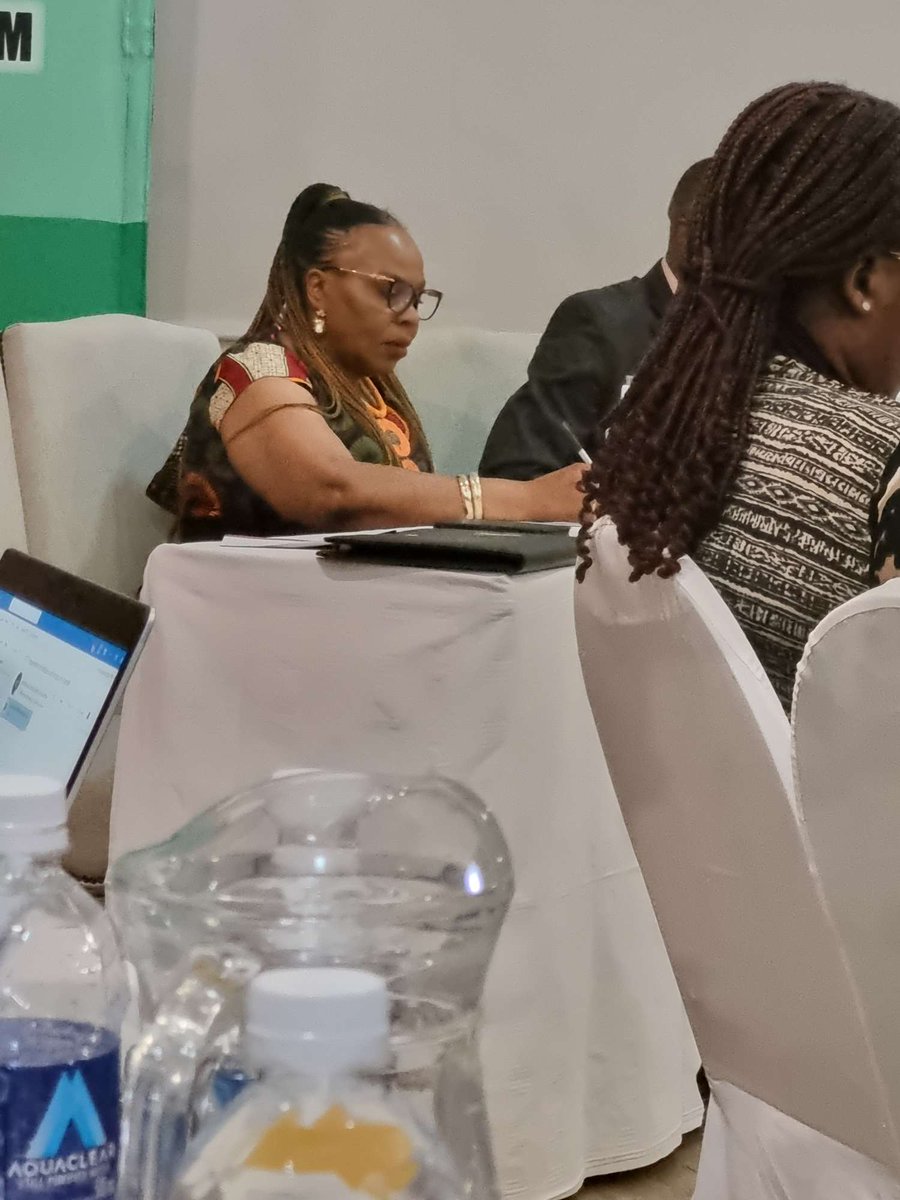 "We need to build women's resilience in disaster risk management." <a href="/mwacsmed/">Ministry of Women Affairs_Zw</a> Minister Monica Mutsvangwa