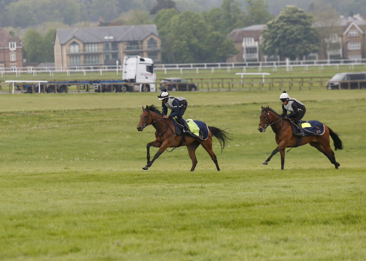 𝐌𝐢𝐝𝐬𝐮𝐦𝐦𝐞𝐫 𝐃𝐚𝐧𝐜𝐞 heads to Chelmsford this evening for their 1m2f Fillies' Handicap at 7pm under jockey Kaiya Fraser for trainer Harry Eustace. Good luck to all of her owners 🤞🏻 #MyRacehorseUK