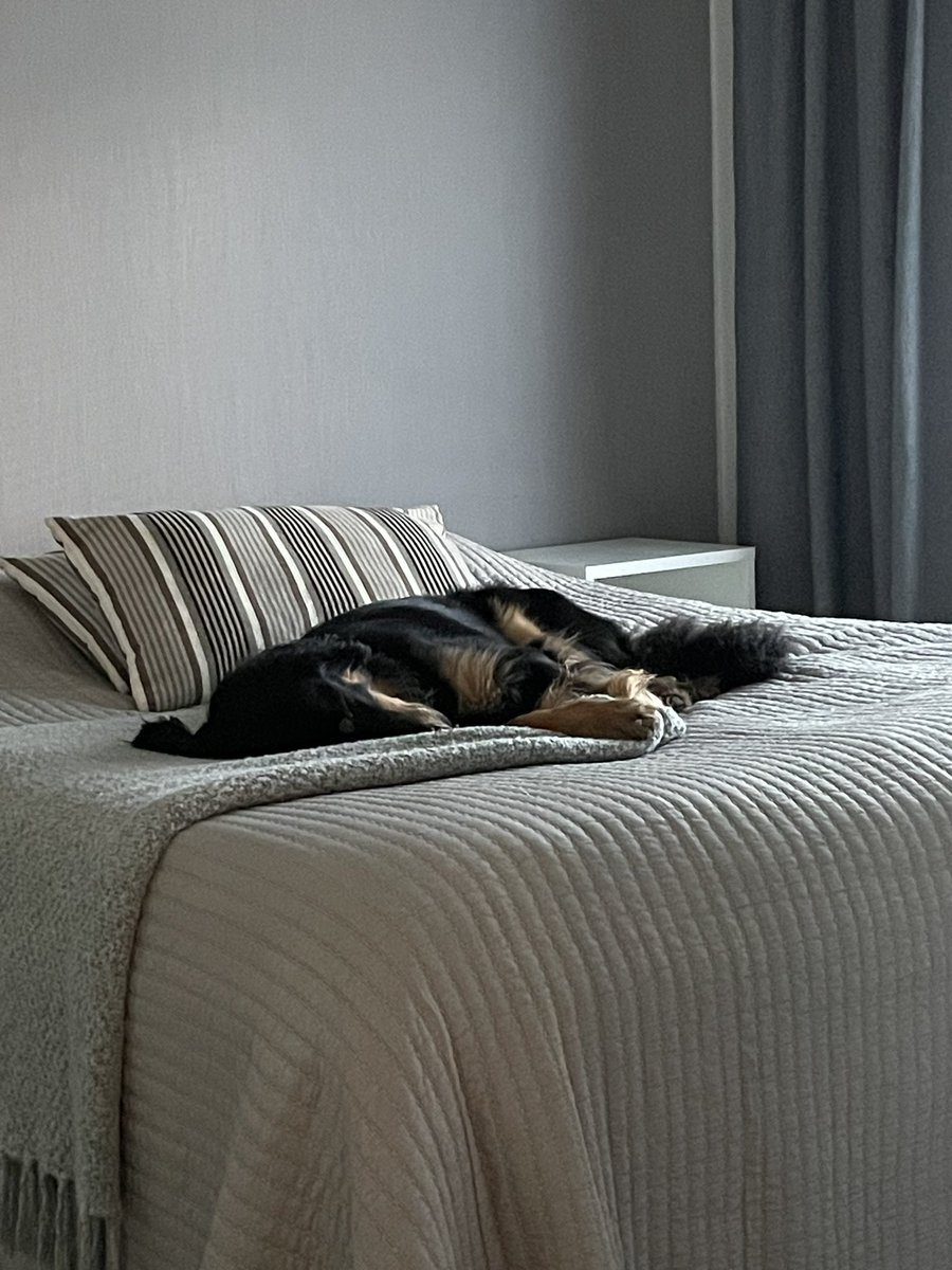 Työreissupäivien jälkeinen kooma. Meillä molemmilla #palautuminen