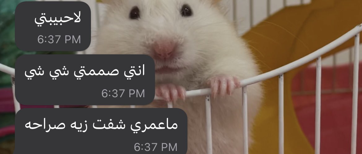 joary121's tweet photo. شعور لما تصمم بعد بريك فتره ويطلع رد العميله كذا؟🌞❤️‍🔥 https://t.co/YhVdYEKfw7