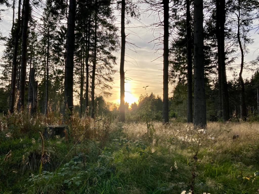 Genieße die Ruhe und die Luft in der schönen Natur
#OutdoorAbenteuer #NaturErkunden #Reisezeit #Fernweh #NaturLiebhaber #CampingLeben #OutdoorKochen #Seelenfrieden #RausInDieNatur  #Wildnis #OutdoorKüche #Erholungszeit #AbenteuerWartet #InDieWildnis  #outdoortravel365