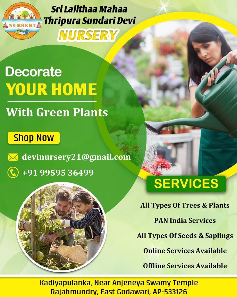 SRI LALITHAA MAHAA THRIPURA SUNDARI DEVI NURSERY!!  Contact us at +91 99595 36499

Embrace nature with our wide range of seeds and saplings. 🌷

Our services span across India, available both online and offline. 

#GreenLife #NatureLovers #PlantParenting #NurseryLove