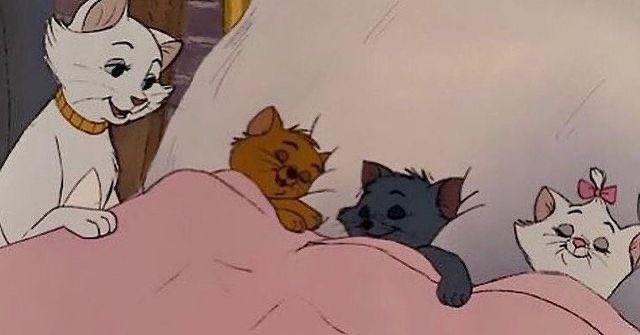 softparisian's tweet photo. sleepy mood https://t.co/v4NS6qUYs3