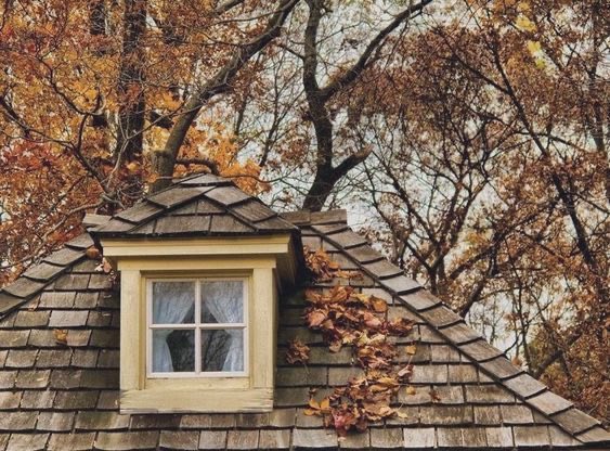 malusokay's tweet photo. Autumn walks, uggs weather, morning coffee, and cinnamon rolls… 🧸 https://t.co/bXtx14uqRb