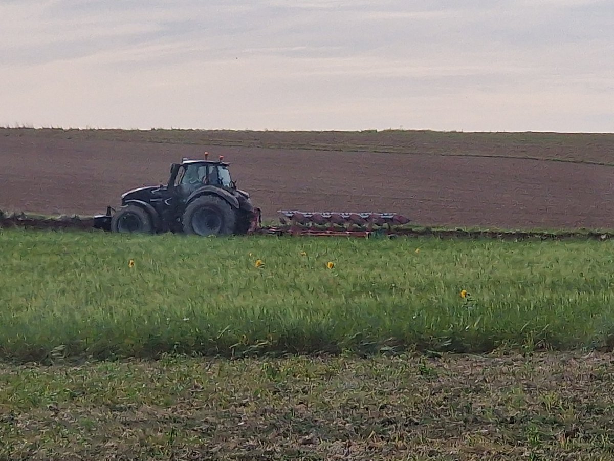 Pour  toi <a href="/GuyotVincent02/">GUYOT Vincent</a>