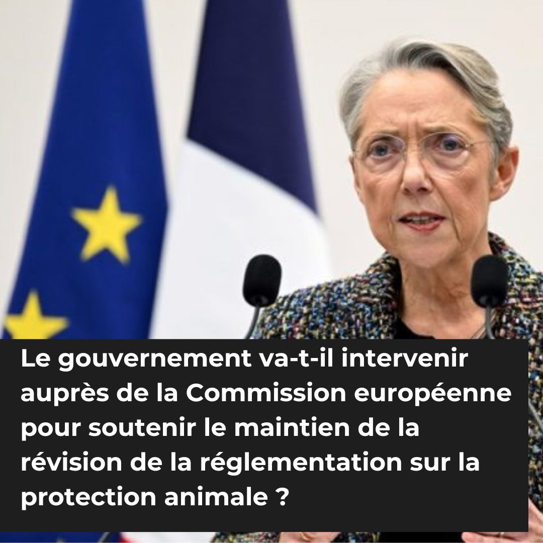 [ACTION #RevisionBEA] La France doit intervenir pour soutenir la révision de la réglementation européenne sur la protection des animaux
▶️Téléchargez l'application Agora  
▶️Likez et partagez  la question posée au gouvernement pour obtenir une réponse 
👉agora.beta.gouv.fr/qags/2e7606f9-…