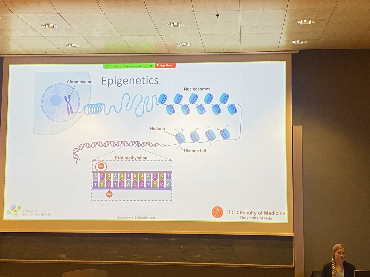 Attending PhD trial lecture and Defence:Kristine Haftorn