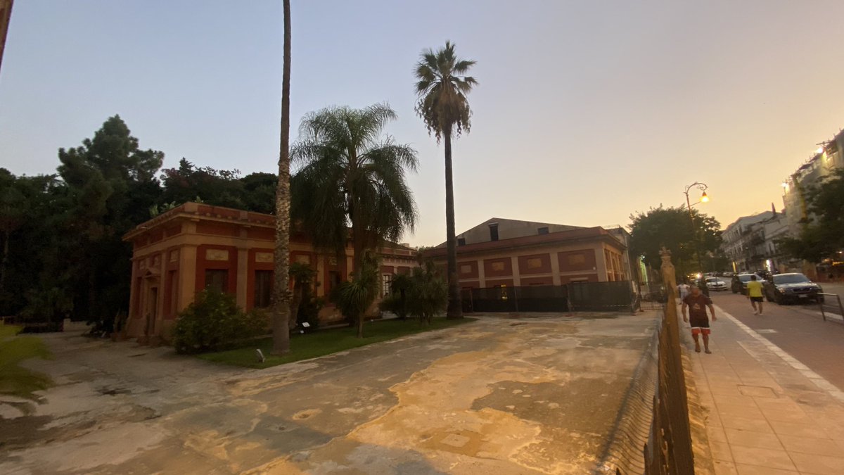 #Cairo ? 🇪🇬 NO !

#Palermo : Orto Botanico 🇮🇹 created in 1789.