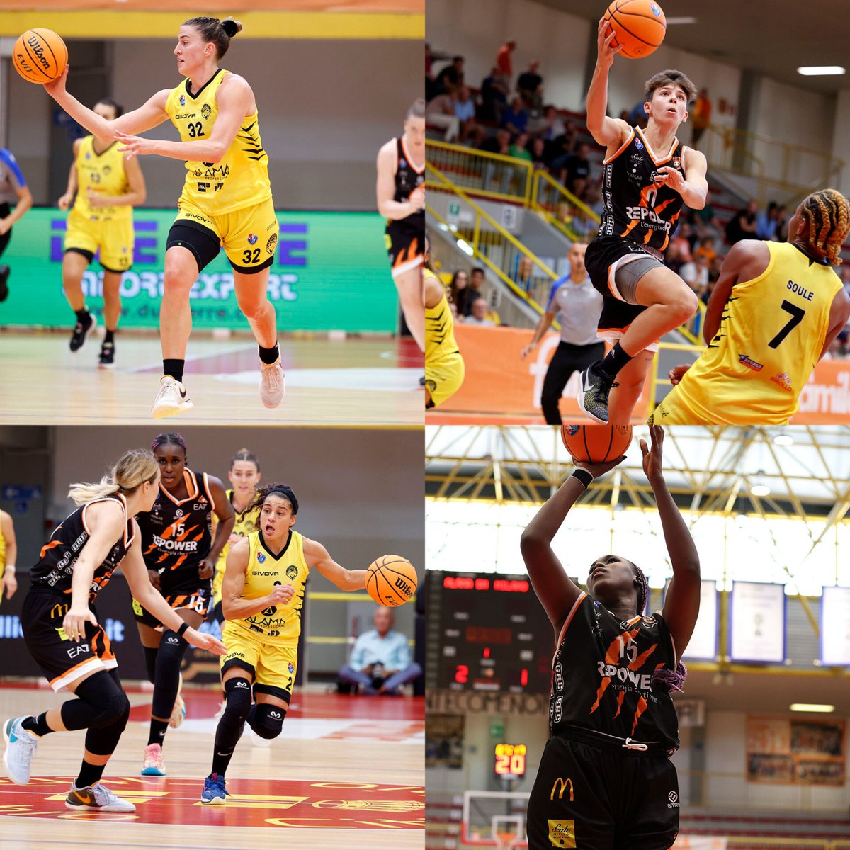 Basket tras-Parente tweet media