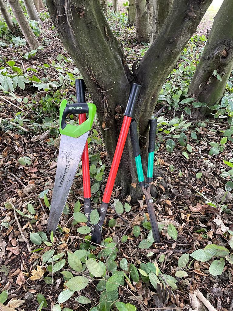 If you’ve got some spare time on Thursday mornings and you like gardening then come and join us at our workgroup at #BroomhillPark. No experience needed &amp; all tools provided. Get outside for a couple of hours, it’s free so give it a go! Meet in the car park at 10am ME23NB.