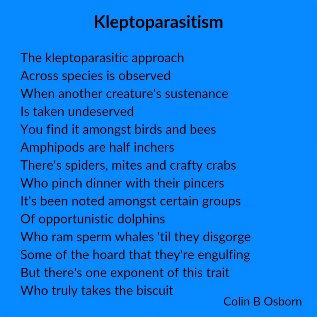 Colin B Osborn tweet media