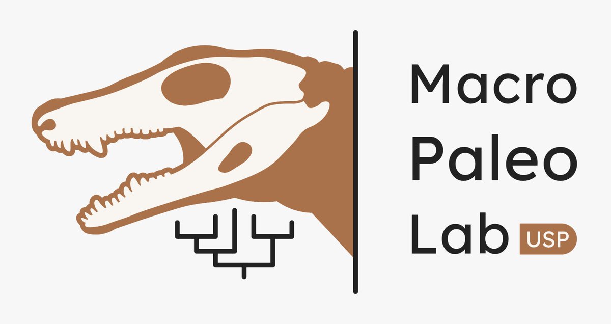 PedroLGodoy's tweet image. I'm beyond thrilled to officially lauch the Macroevolution and Paleobiology lab! Based at the Zoology department of the University of São Paulo, our lab will focus on systematics and macroevolution of vertebrates. This AMAZING logo was made by the also amazing @MirantaKouvari 🤩