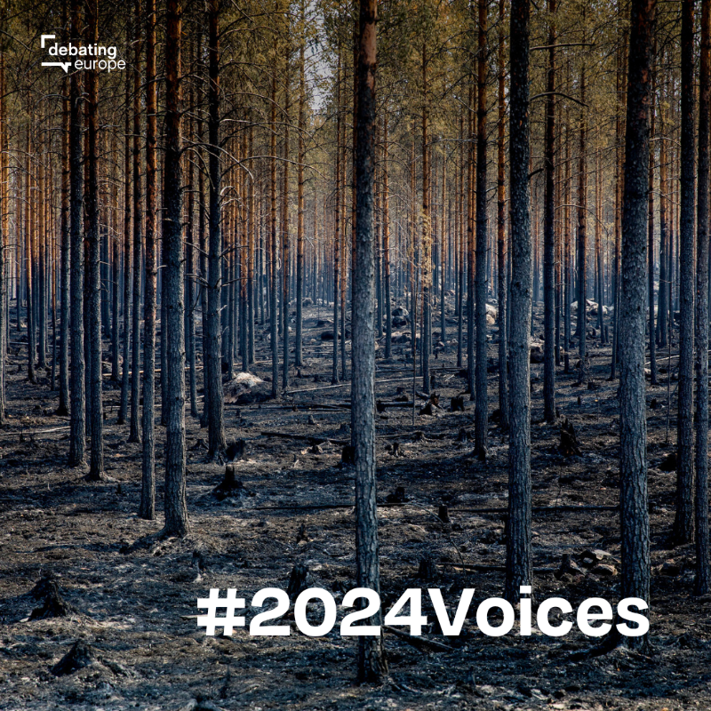 debatingeurope's tweet photo. 🌡️ Will raging wildfires and record-breaking temperatures become the norm?

📢 Sign up for a 1-hour focus group with us and share your views with fellow citizens.

⬇️ Final spots remain to join #2024Voices! Open to 18-40 year olds in 🇧🇪🇫🇷🇩🇪🇵🇱🇪🇸🇸🇪🇮🇹