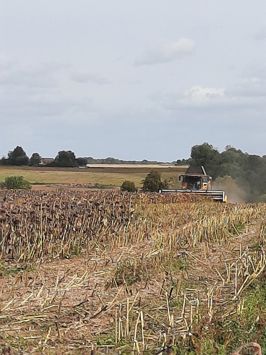 Mélanie Szalkowski tweet media