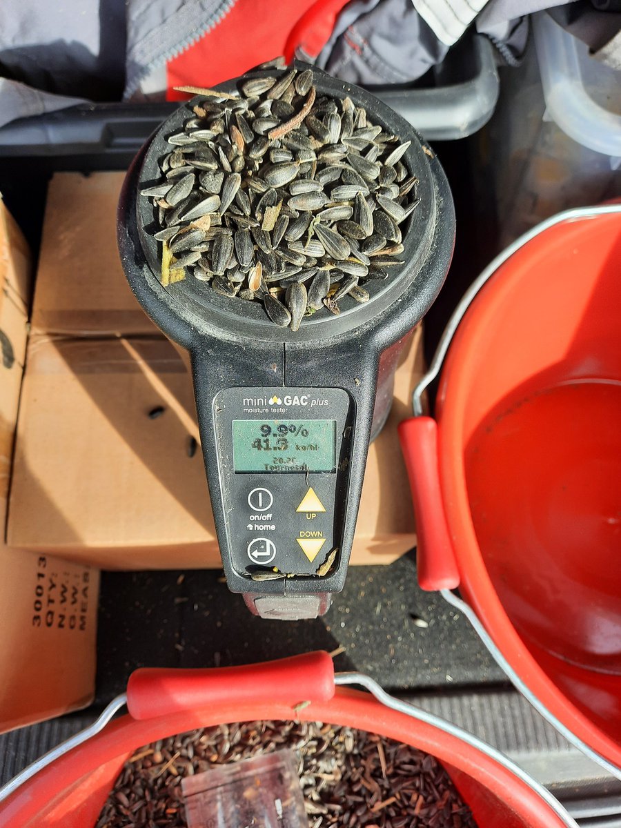 Mélanie Szalkowski tweet media