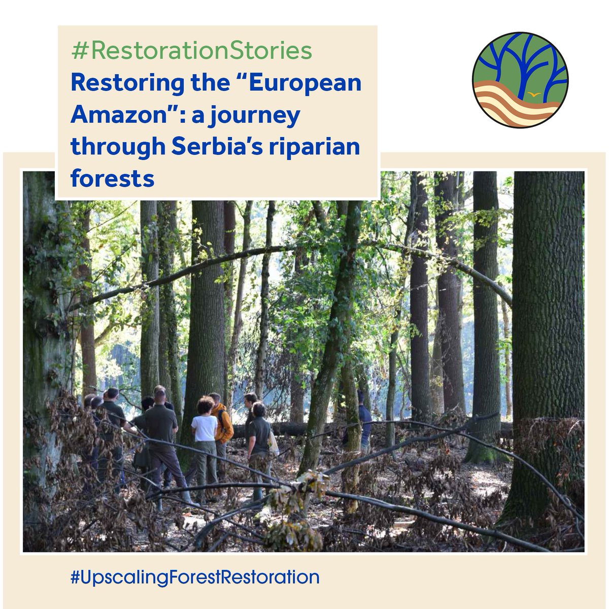 🆕In this exciting #RestorationStory, @WUR's Ajdin Starcevic takes us on a journey through the #SUPERB demo in Serbia🇷🇸, aka the European Amazon

One of his 🔑 takeaways? Learning to trust local knowledge, expertise & new insights they bring to #science

🔗forest-restoration.eu/restoring-the-…