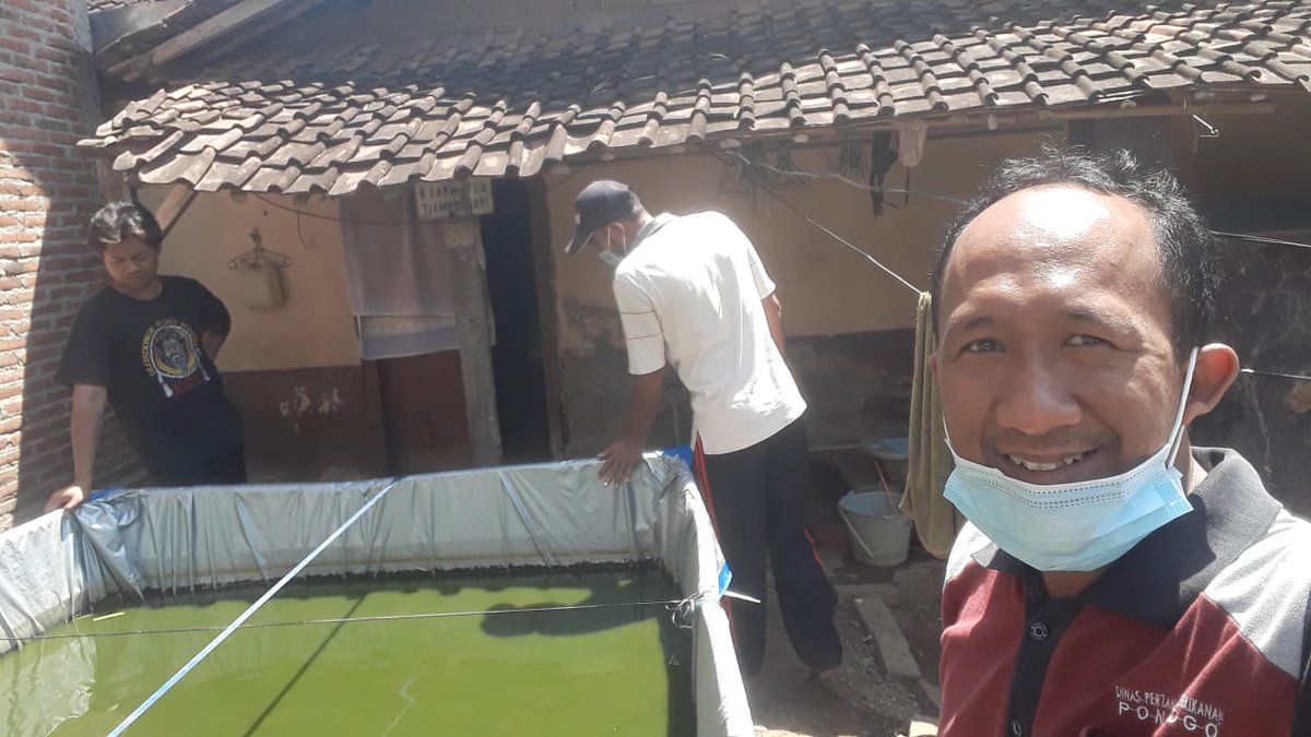 yulipkl's tweet photo. Yuli Rachmanudin,S.Pi PPB Kabupaten Ponorogo Pokdakan Jumat 07 Juli 2023 Kurnia Mina Desa Sambit Kecamatan Sambit Panen Lele 120 Kg Harga Rp  18.700 #Panen #GiatLuhkanSatminkalBPPPBwi #Luhlapor https://t.co/dXJ1IgdhYQ