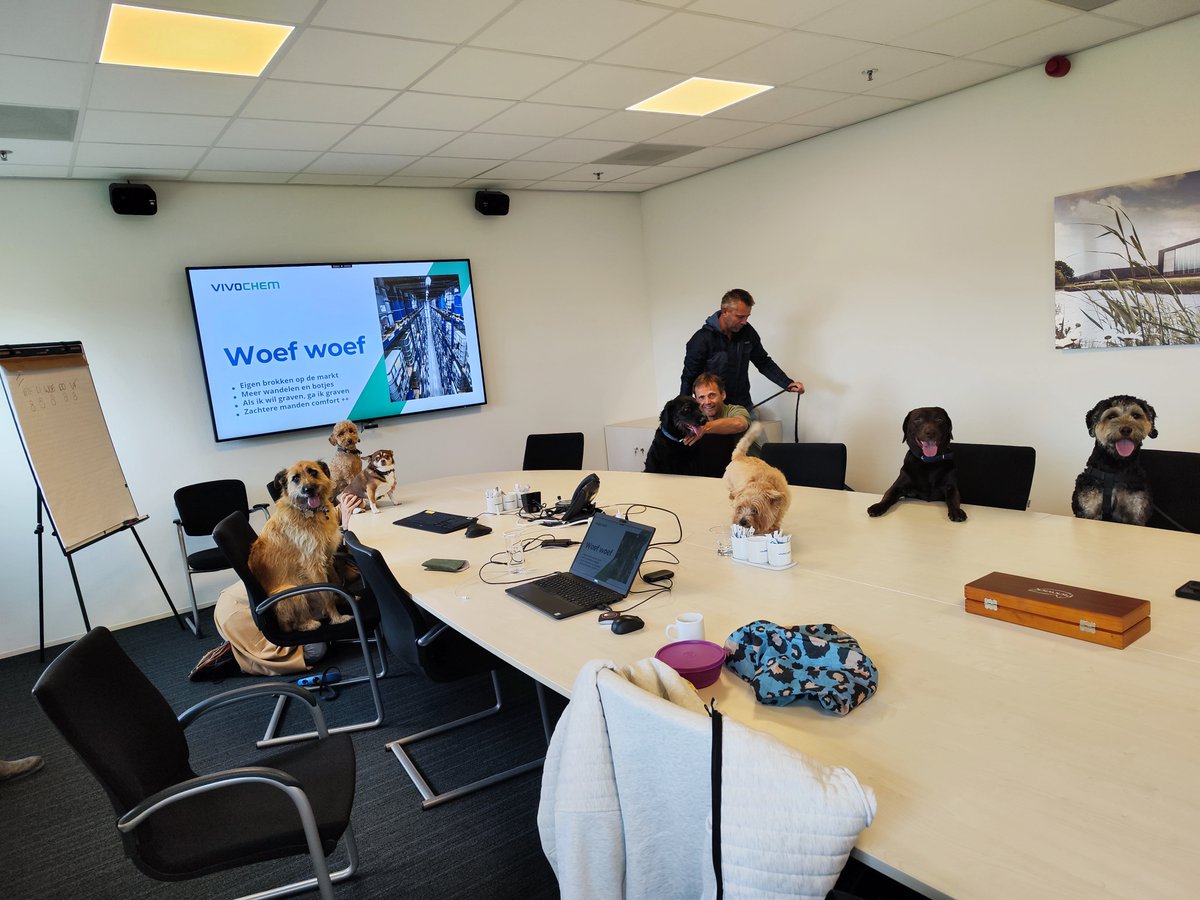 Alleen gisteren verwelkomden we enkele bruisende en getalenteerde stagiairs die een kijkje achter de schermen kwamen nemen bij Vivochem. We kijken terug naar een inspirerende dag vol uitwisseling van snoepjes en botjes! 🦴 #dierendag #almelo