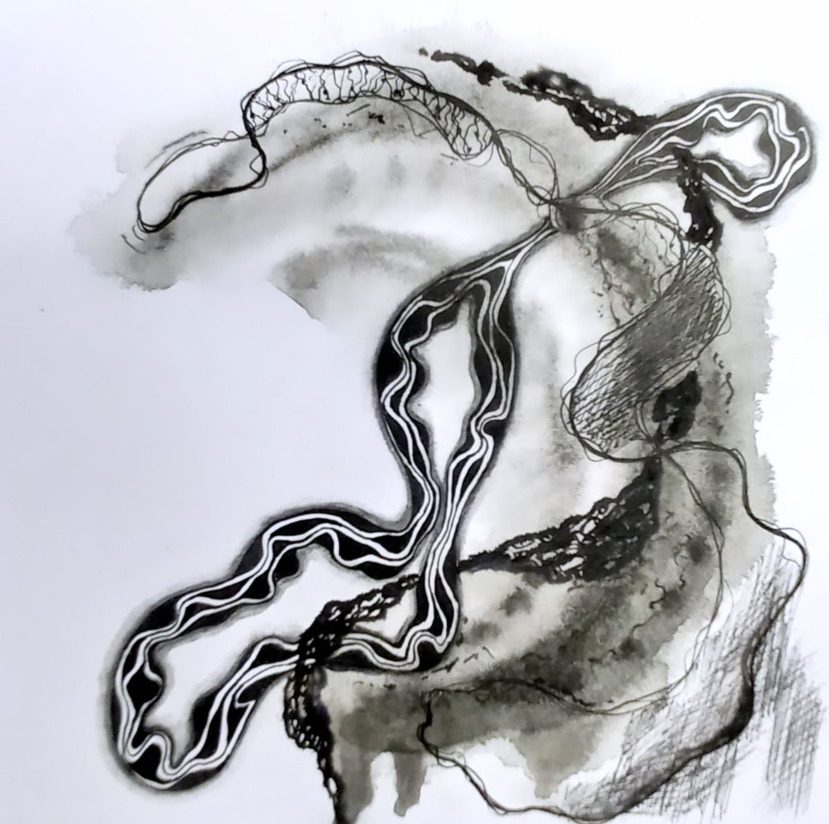 sachartart's tweet photo. @inktober , day 4: #dodge 

#inktober2023 #inktober2023day4 #Inktober https://t.co/5VxMEs3Tnp