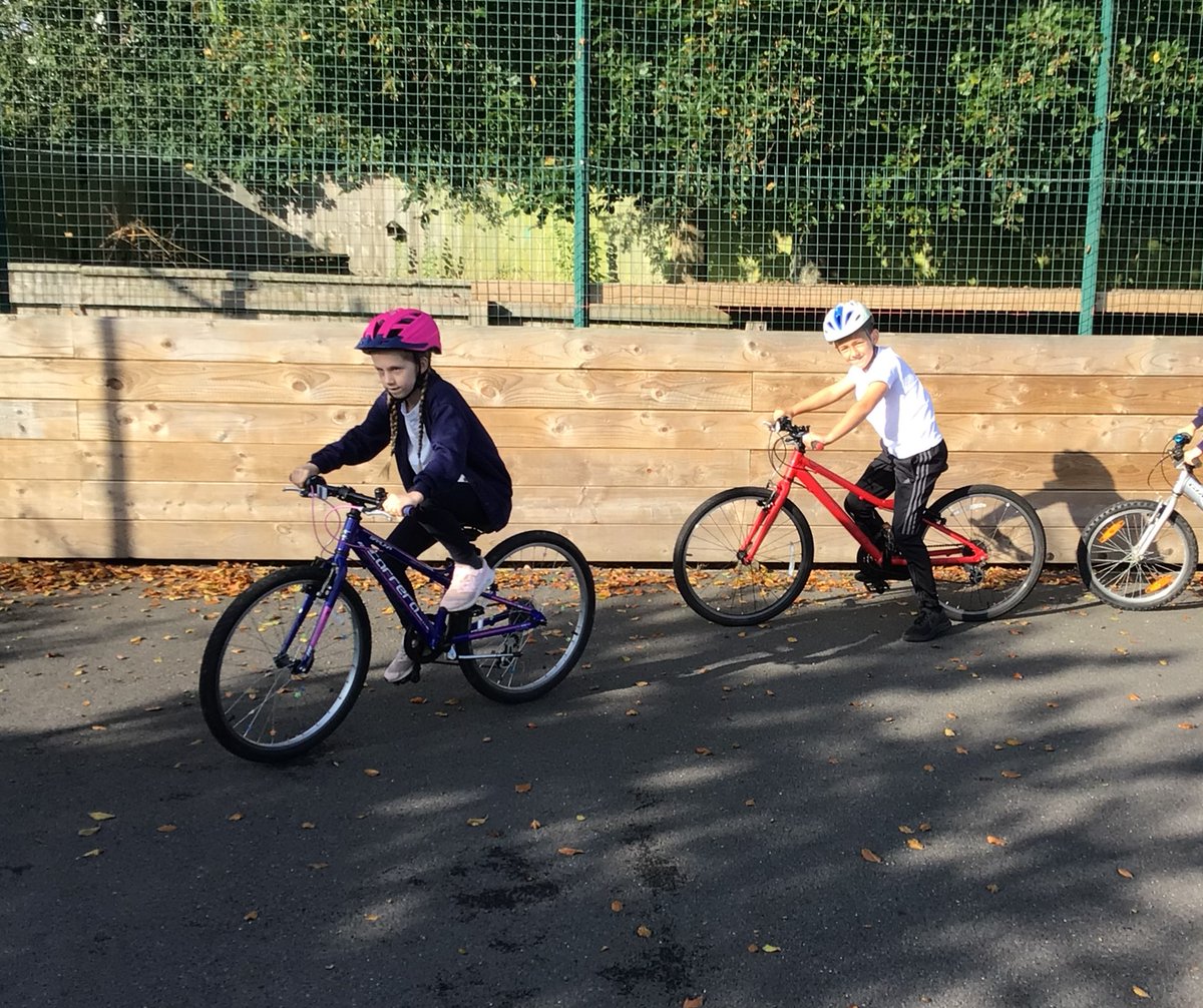 Starcross School tweet media