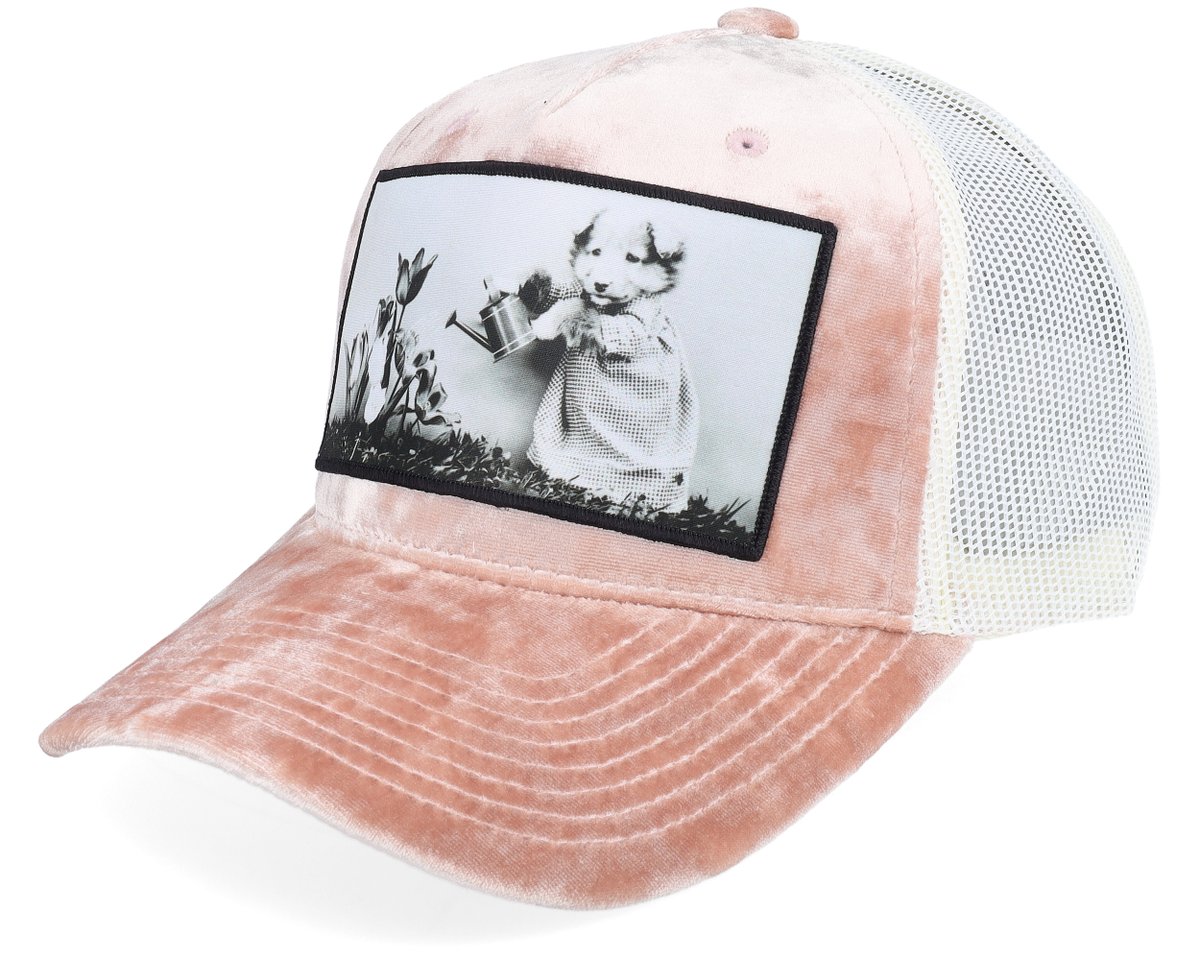 MJ_Caps's tweet image. we sell theese funny Caps they are great for school and they are cheap!