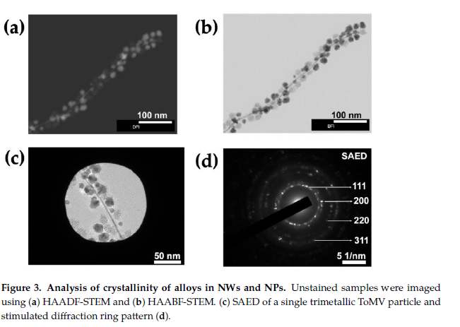 Hot off the press! Turning plant viruses into metallic nanowires: "Production of Metallic Alloy Nanowires and Particles Templated Using Tomato Mosaic Virus (ToMV)" in <a href="/Nano_MDPI/">Nanomaterials MDPI</a> Congratulations to all involved, especially Sachin for all his hard work!