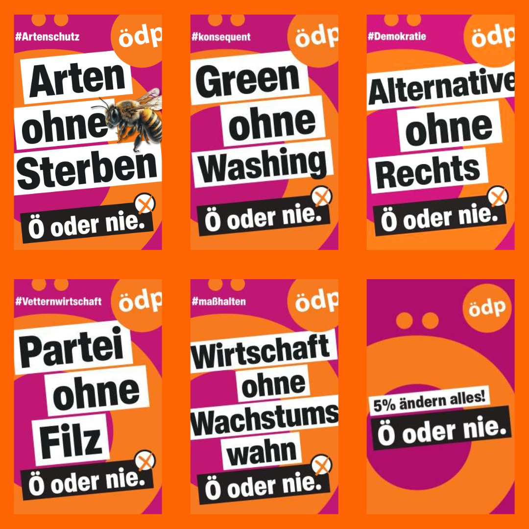 oedp_de's tweet photo. Jede Stimme für die #ÖDP ist ein Gewinn – f��r Arten- und Naturschutz, konsequenten Klimaschutz, mehr Recycling und Recht auf Reparatur, familiengerechte Sozialpolitik und von Konzerninteressen unabhängige Politik.
Am Sonntag in #Bayern und #Hessen: Alle Stimmen auf Orange!🧡 https://t.co/TCKtcwJV7L
