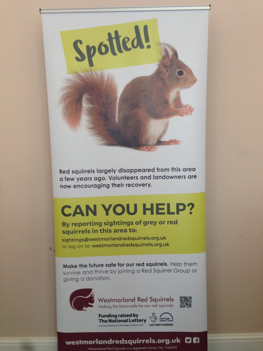 WestmorlandReds's tweet photo. In #RedSquirrelAwarenessWeek let’s take a moment to thank all the volunteers, tirelessly working away to protect our red squirrels and spreading the word to the public. Thank you! https://t.co/kSSEGDB0QC