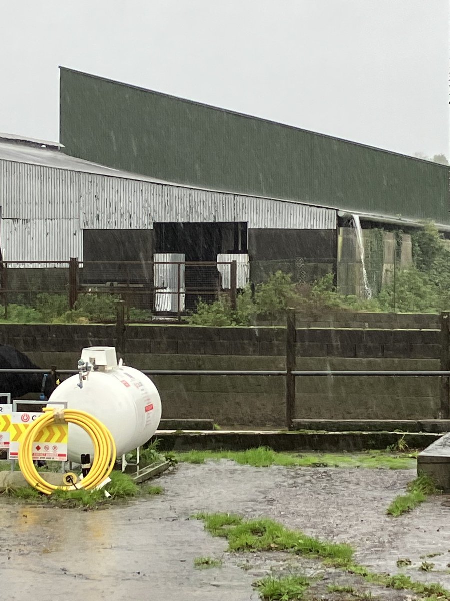 The high stool is going to get worn out if we have much more of this