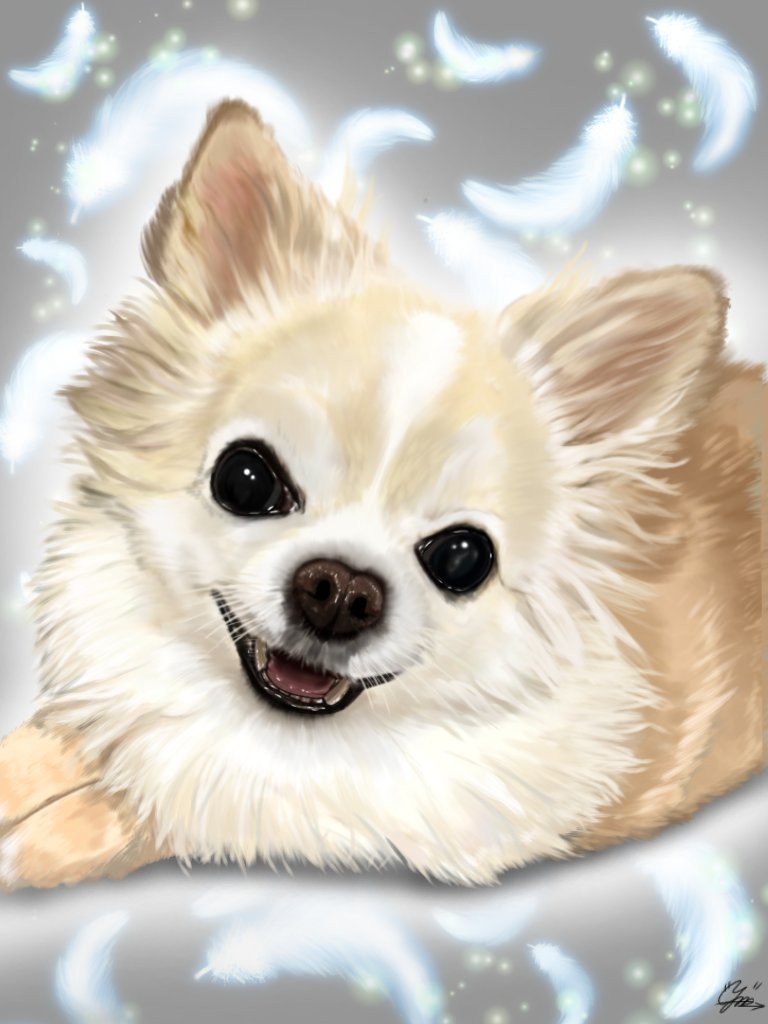 ずっと一緒に生きてきた大切な子が亡くなり、生前の姿を描いて欲しいとご依頼されました。
｢生きてるみたいだ、本当にありがとう｣の言葉に全て詰まってました。
写真見ながら沢山愛されてたんだなぁと
描きながらゆりなさんまで泣きました😂
新井田さんご依頼ありがとうございました🙇‍♀️