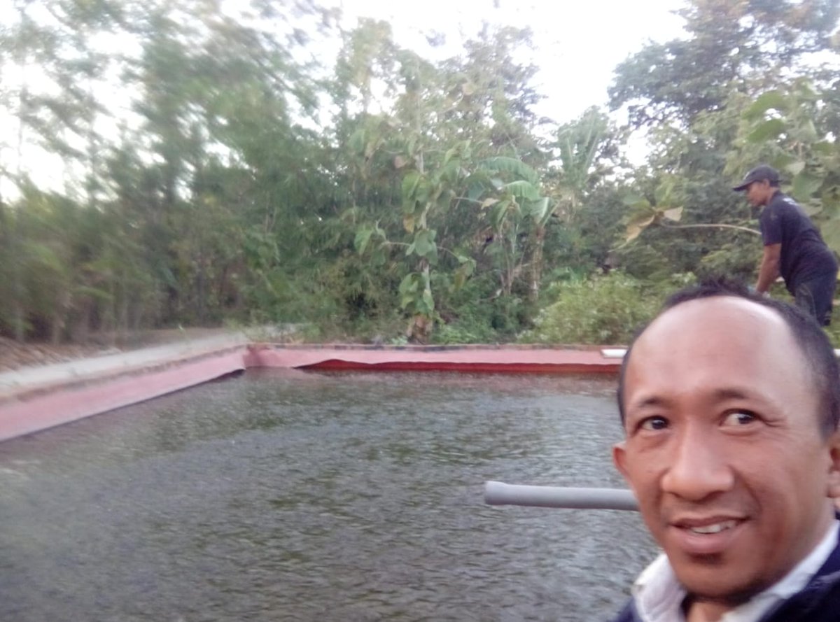 yulipkl's tweet photo. Yuli Rachmanudin,S.Pi PPB Kabupaten Ponorogo Senin 16 Juli 2023 Panen Lele dan Monitoring Jadwal Tebar benih Lele di Pokdakan Anom Mina Jaya Desa Wringin anom Kec.Sambit. #Panen sejumlah 1050 Kg Harga Rp 18.850 dengan Pembeli bakul lele pak Maryono #Luhlapor #GiatLuhkanSatminkal https://t.co/CoOFTdvOHn