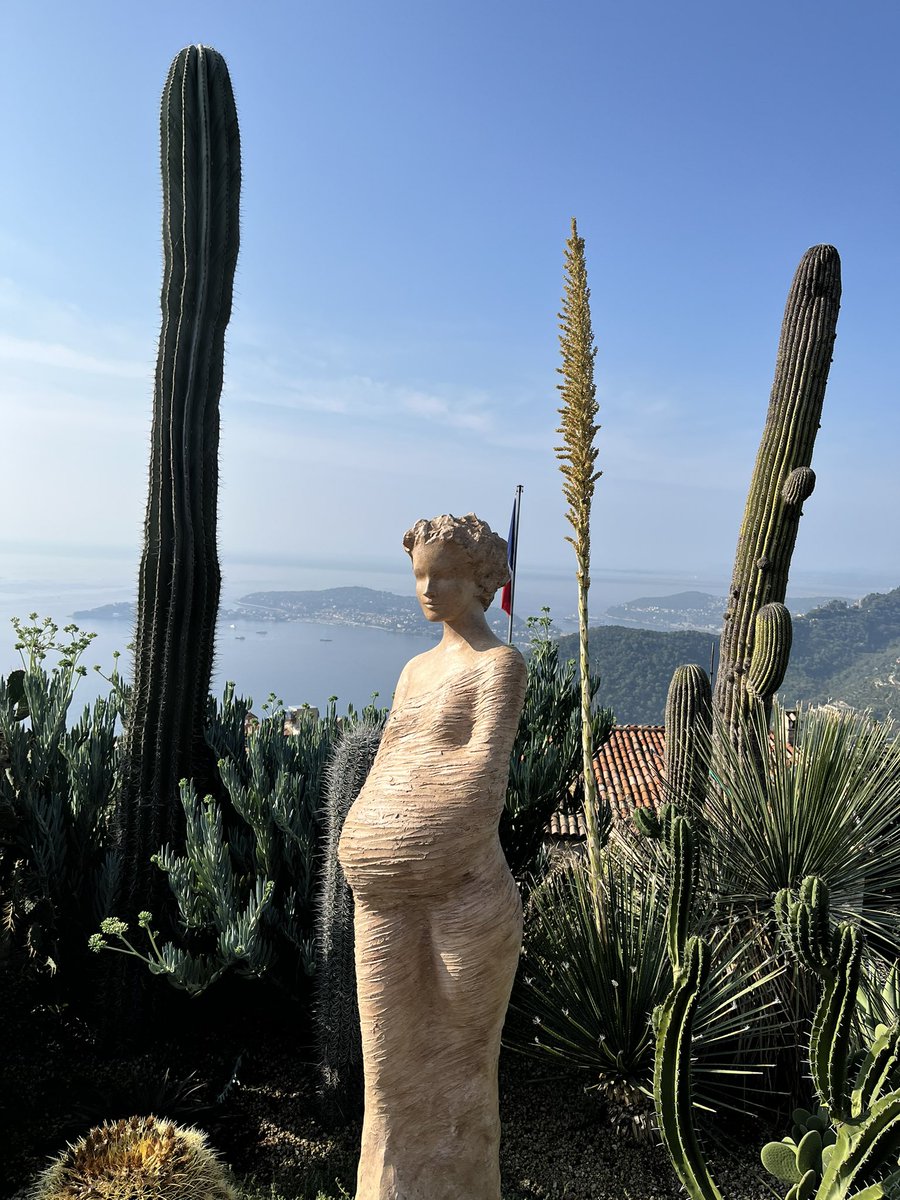 ryanmauckmd's tweet photo. Everything reminds me of work. 🌵#urolife #chateaueza #vacay @themilesgenie https://t.co/lVlXi2dSPu